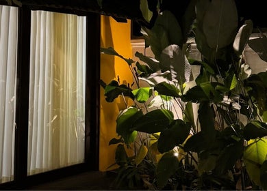 Elegant tropical foliage illuminated at night outside Gramam Living - Spa, Varkala, Kerala, IN