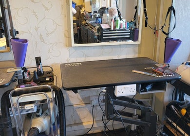 Cat grooming station at Purrfect Cat Grooming Newcastle, Benton, England, GB with tools and accessories.