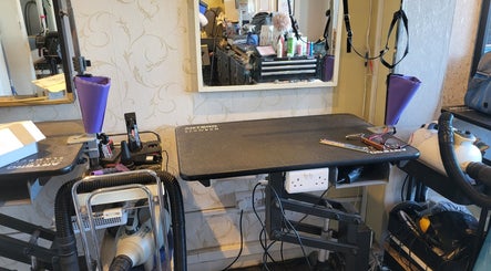 Cat grooming station at Purrfect Cat Grooming Newcastle, Benton, England, GB with tools and accessories.