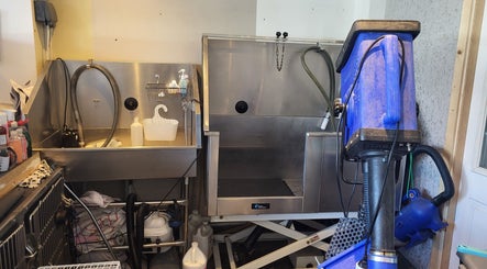 Professional cat grooming station at Purrfect Cat Grooming Newcastle, Benton, England, GB, showcasing modern equipment.