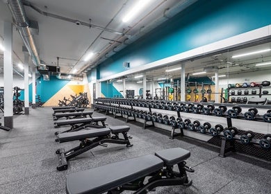 Modern gym with weights and benches at Iron Minds Coaching, Letchworth Garden City, England, GB.
