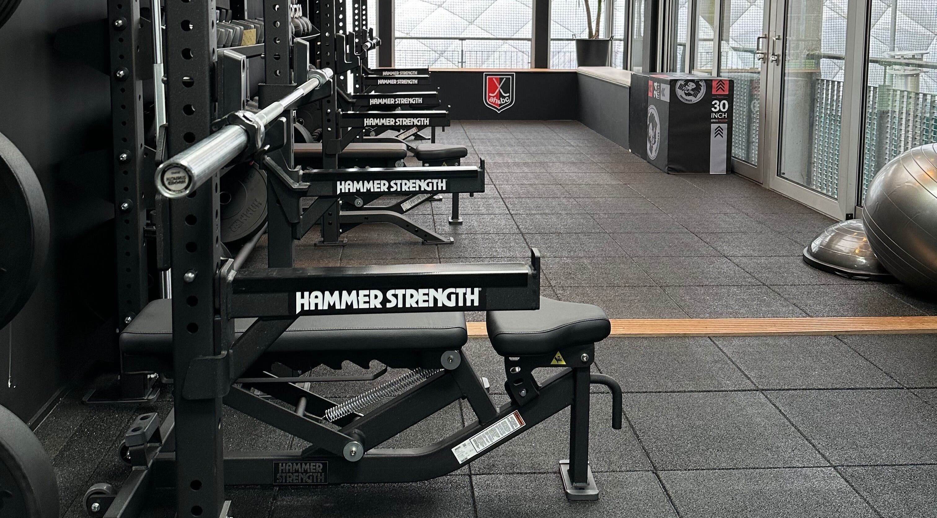 Modern gym equipment at WITNESS THE FITNESS AH&BC PERFORMANCE GYM in Amstelveen, Noord-holland, NL.