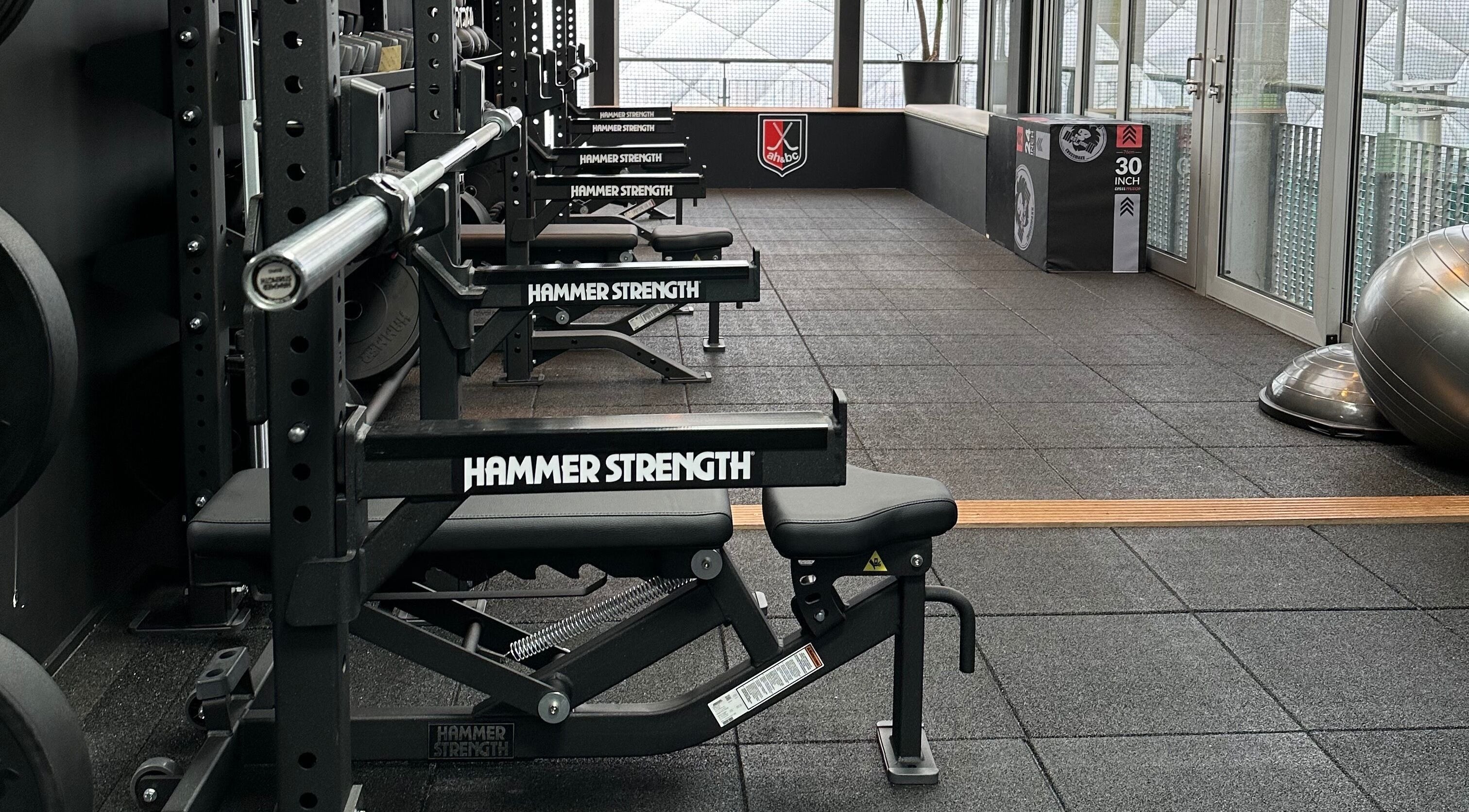 Modern gym equipment at WITNESS THE FITNESS AH&BC PERFORMANCE GYM in Amstelveen, Noord-holland, NL.