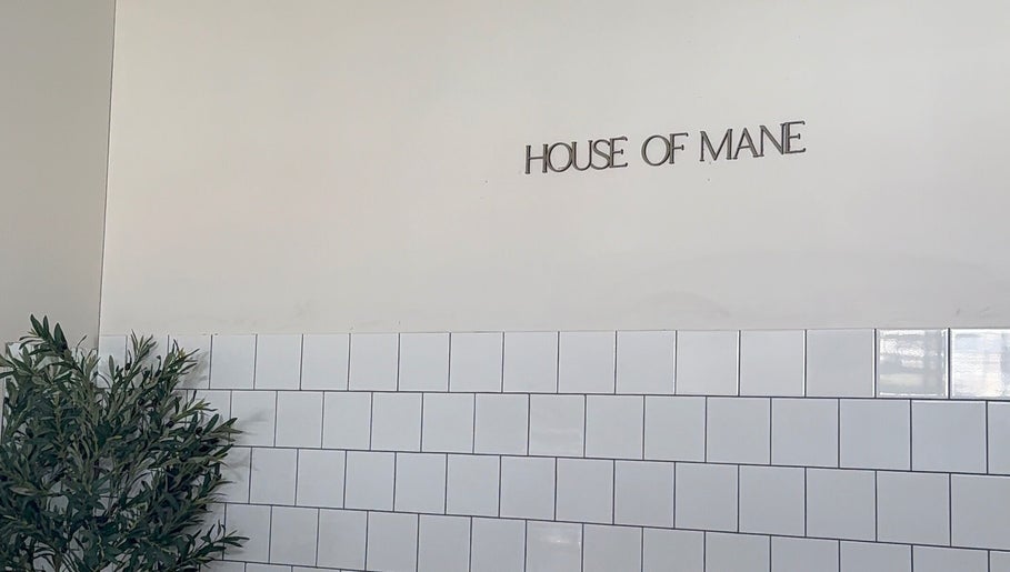 Serene interior wall at houseofmaneco, Heyfield, Victoria, AU with green plant and white tiles.