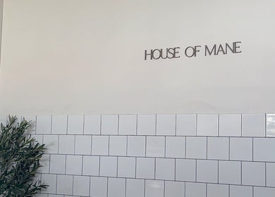 Serene interior wall at houseofmaneco, Heyfield, Victoria, AU with green plant and white tiles.
