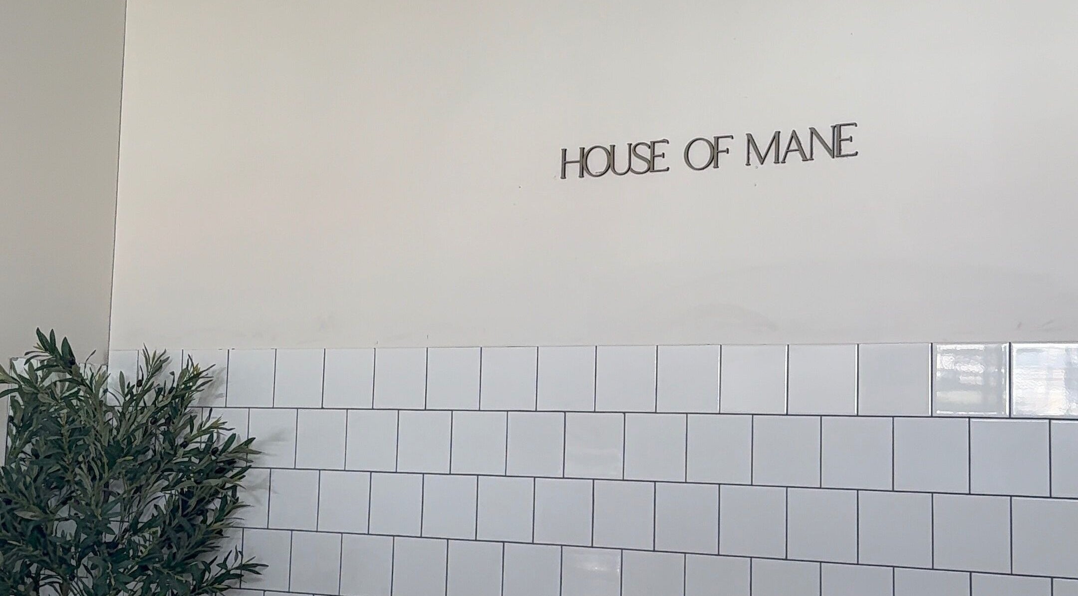 Serene interior wall at houseofmaneco, Heyfield, Victoria, AU with green plant and white tiles.
