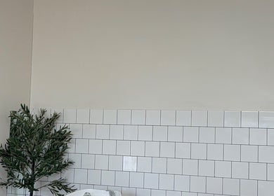 Minimalist design with lush plant in houseofmaneco, Heyfield, Victoria, AU spa room.
