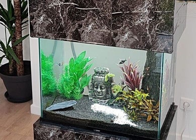 Aquarium décoratif à Shenelia Institut, Hanches, Centre-val De Loire, FR, apportant une ambiance apaisante.