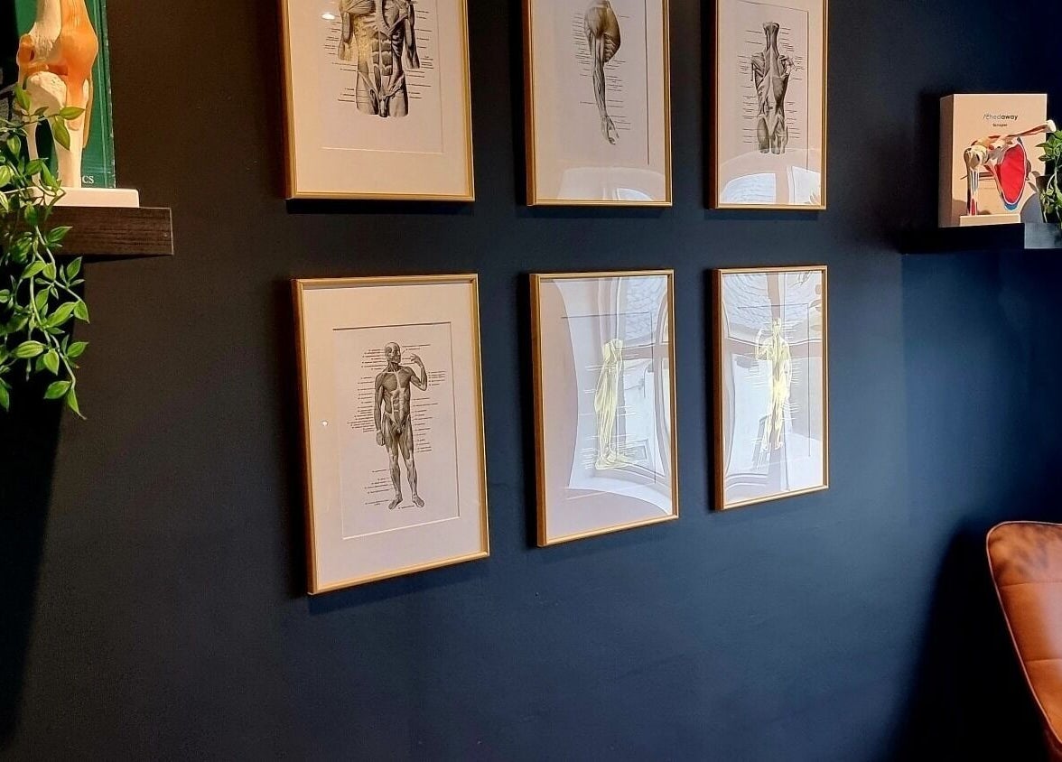 Artistic anatomy decor at Recovery Room Portadown, Portadown, Northern Ireland, GB highlighting wellness.