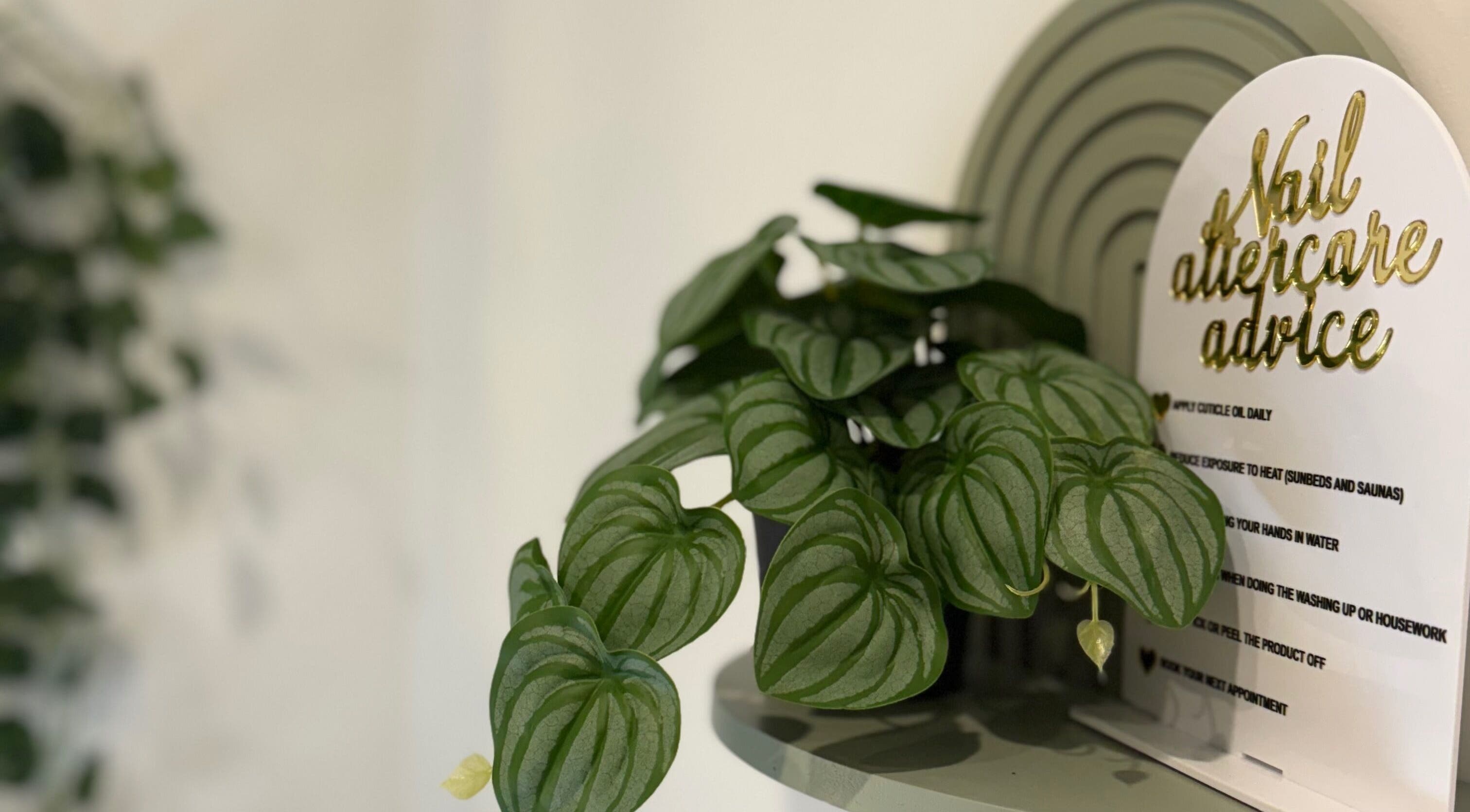 Lush green plant beside nail aftercare advice sign at Kpurenails, Cambridge, Waikato Region, NZ.