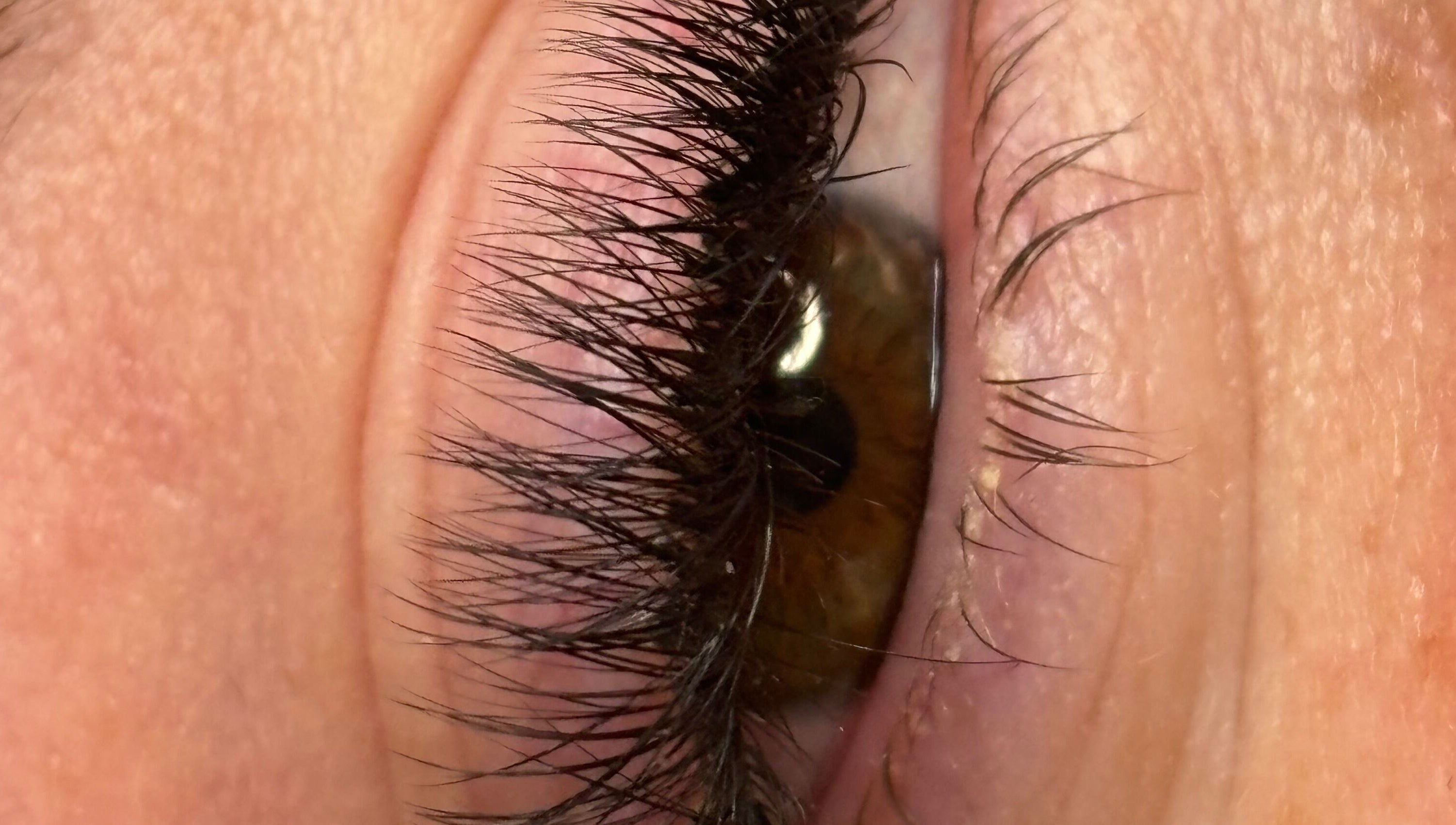 Close-up of enhanced lashes at Harriet’Bow Beauty in Netherfield, England, GB.