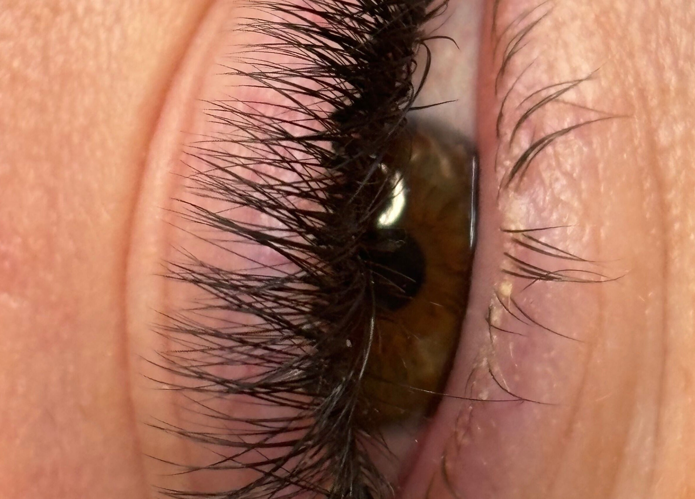Close-up of enhanced lashes at Harriet’Bow Beauty in Netherfield, England, GB.