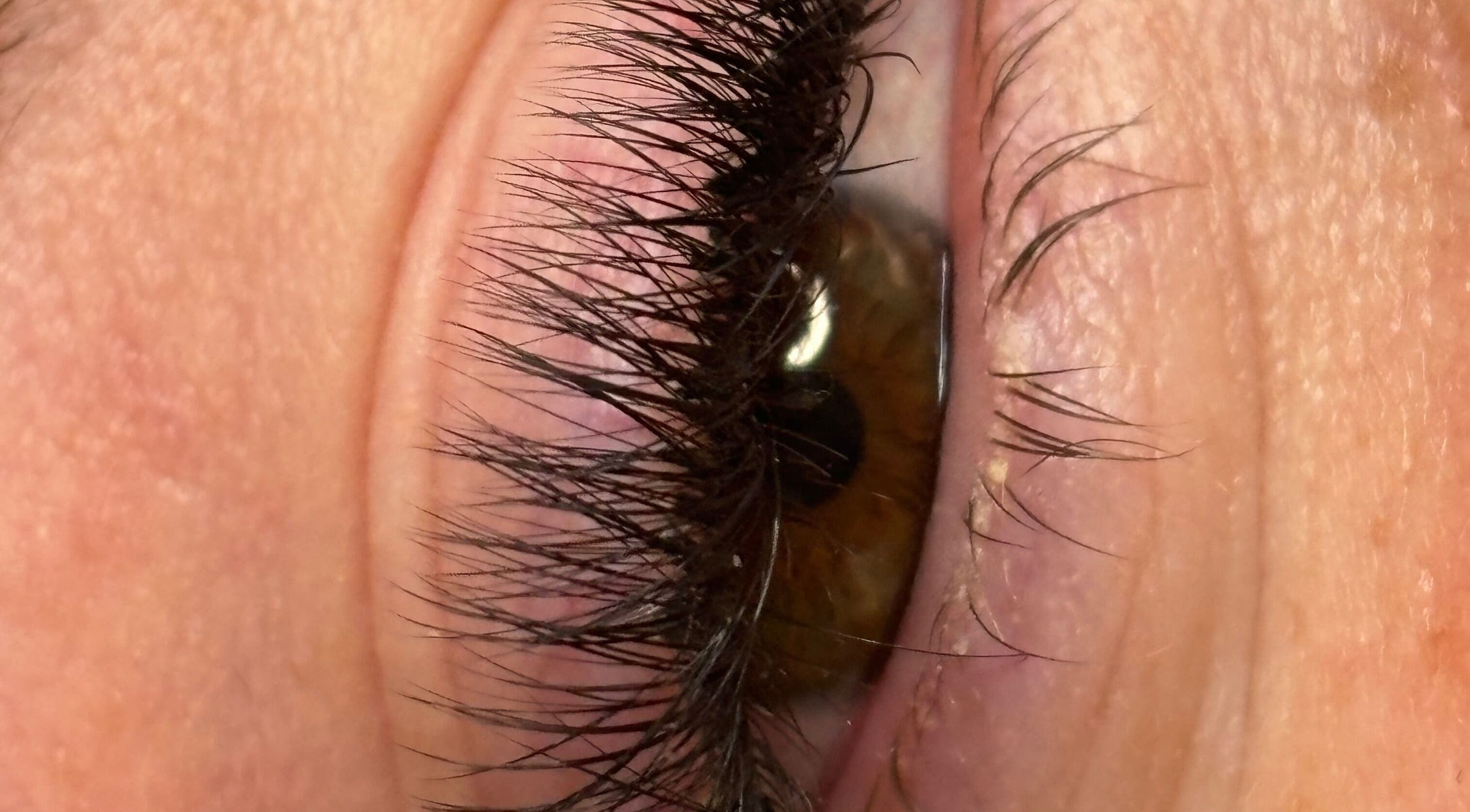 Close-up of enhanced lashes at Harriet’Bow Beauty in Netherfield, England, GB.