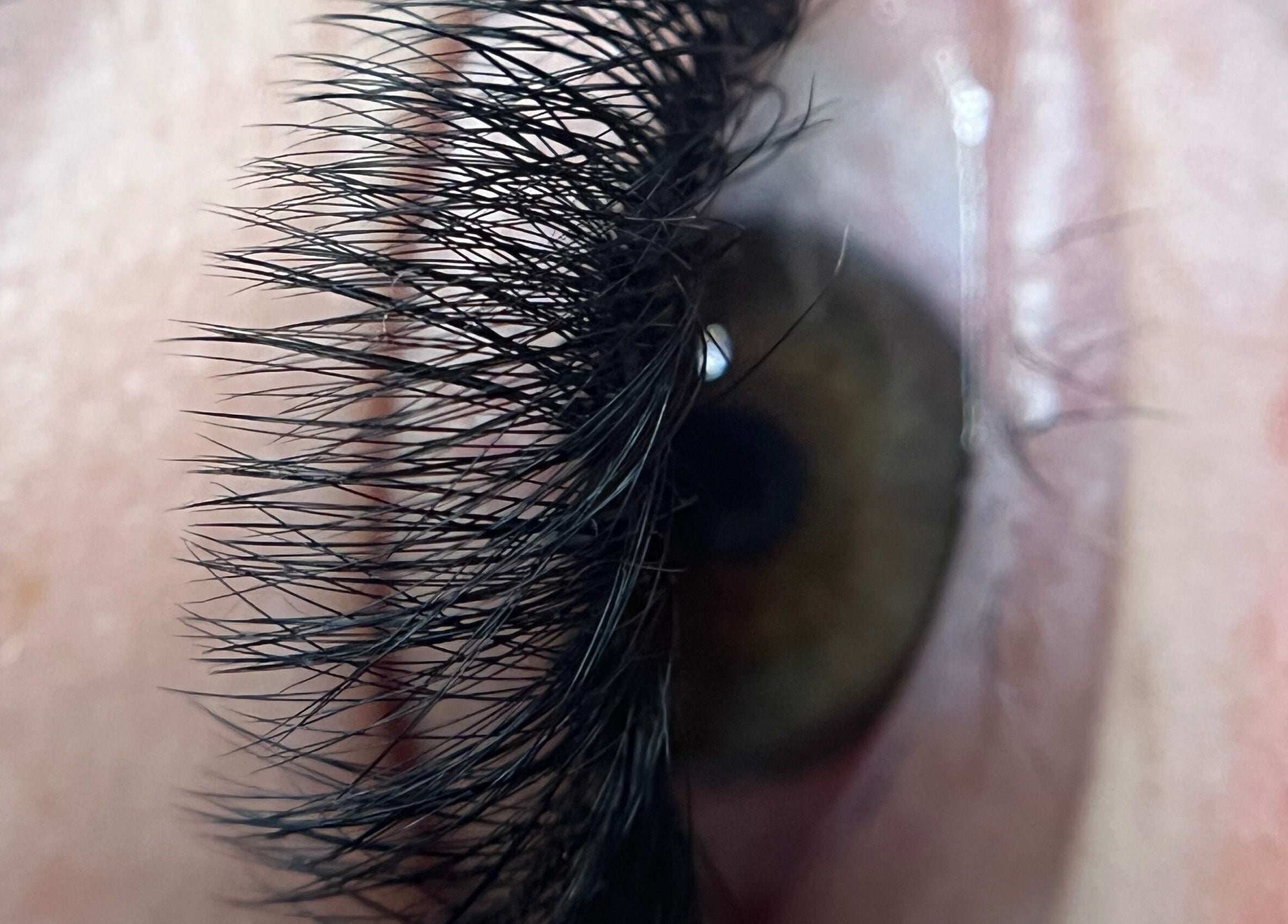 Lush eyelash extensions at Harriet’Bow Beauty, Netherfield, England, GB enhancing eye appearance.