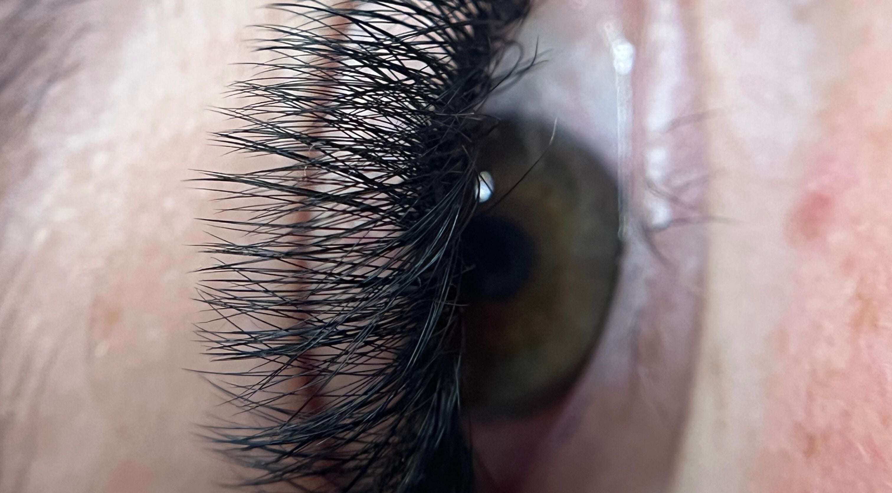 Lush eyelash extensions at Harriet’Bow Beauty, Netherfield, England, GB enhancing eye appearance.