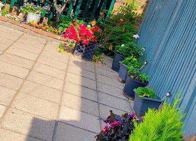 Charming patio garden outside Royal Beauty, Uxbridge, England, GB, with colorful flowers and lush greenery.