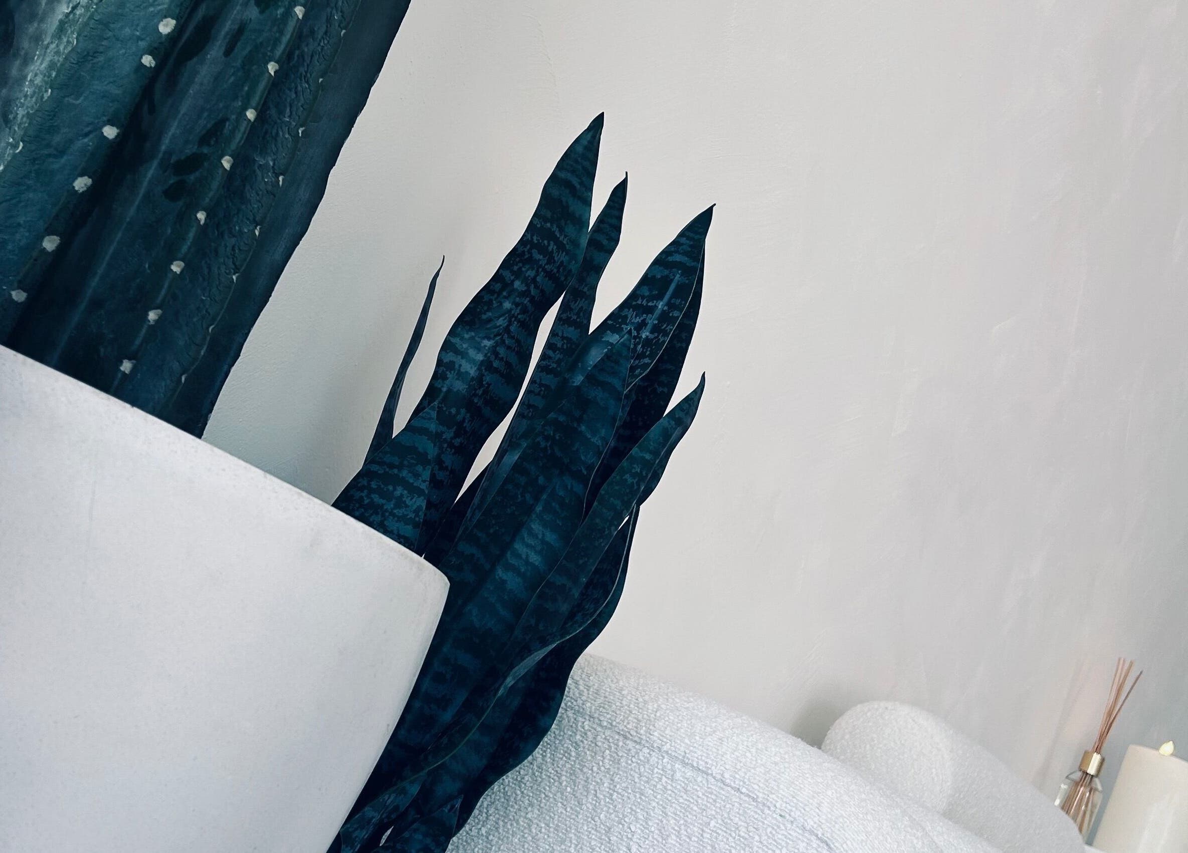 Elegant plant decor and candles in Amiche makeup & beauty, Ipswich, Queensland, AU.