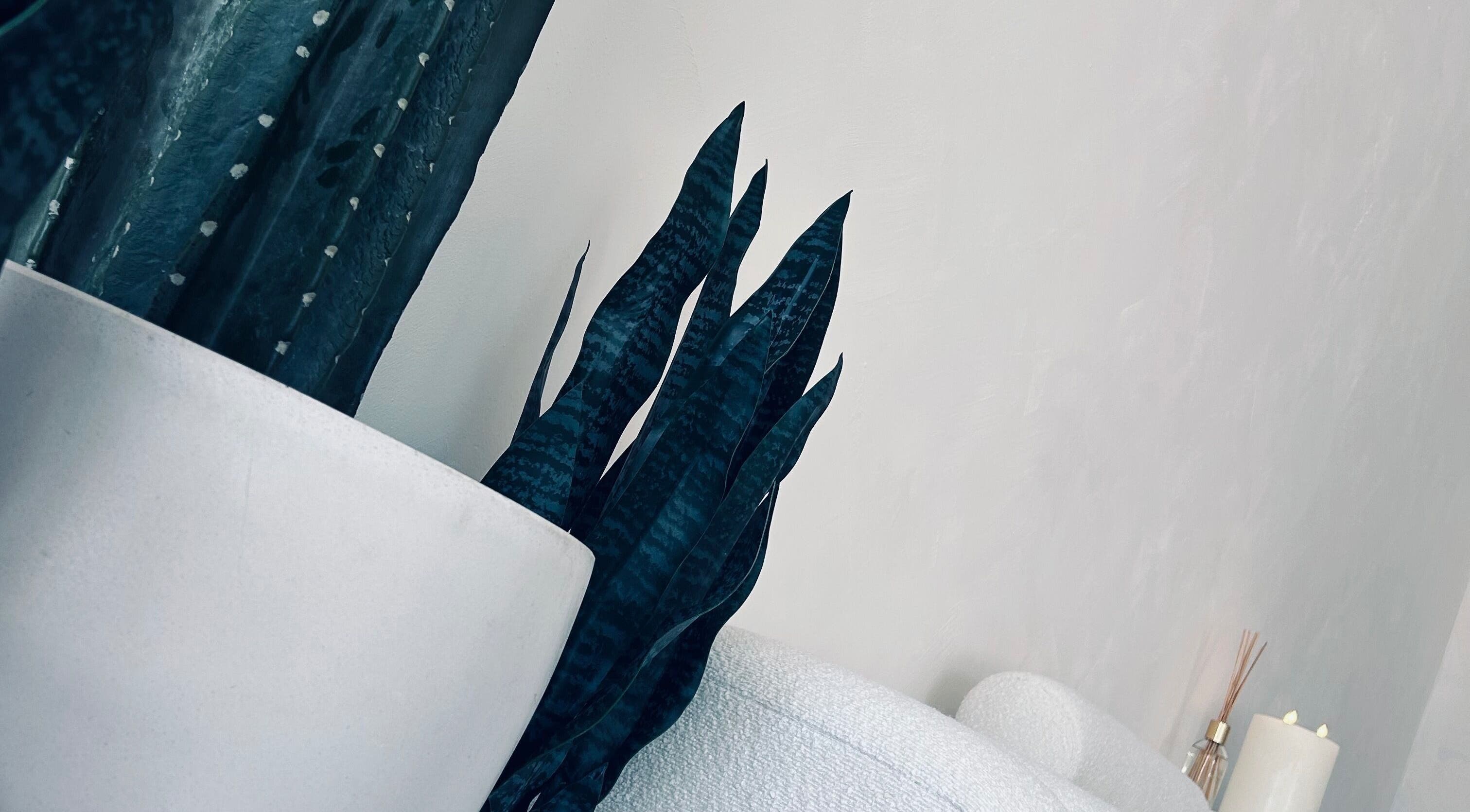 Elegant plant decor and candles in Amiche makeup & beauty, Ipswich, Queensland, AU.