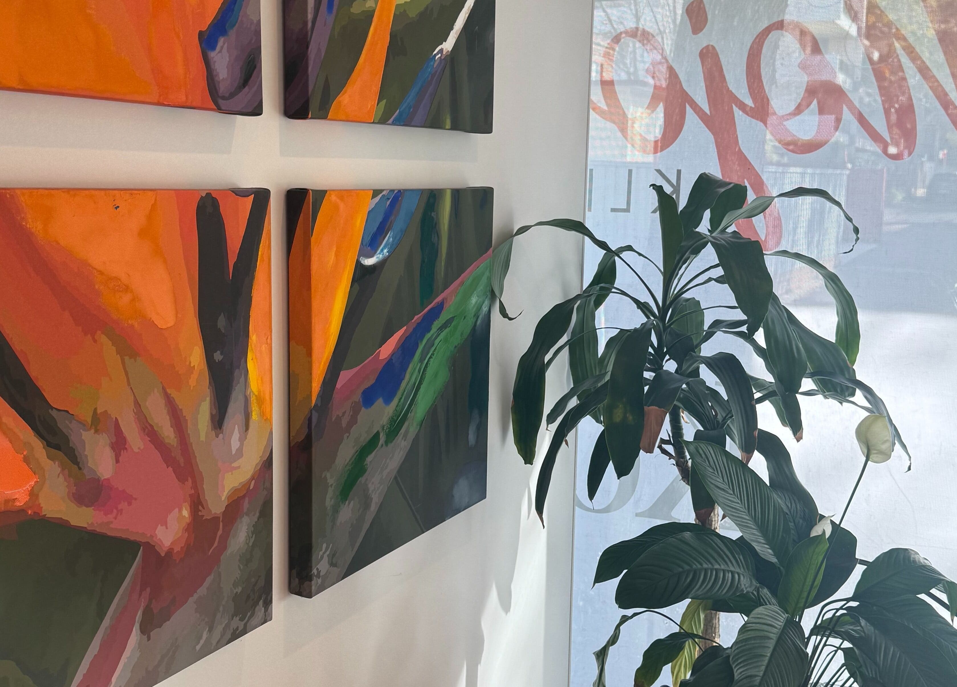 Vibrant artwork and lush plants at Mojo Cosmetic Clinic, Neutral Bay, New South Wales, AU.