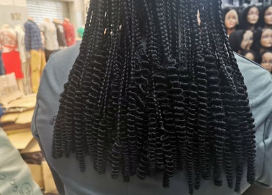Intricate braids style at Lavish Looks Hair Studio, Cape Town, Western Cape, ZA, showcasing craftsmanship.