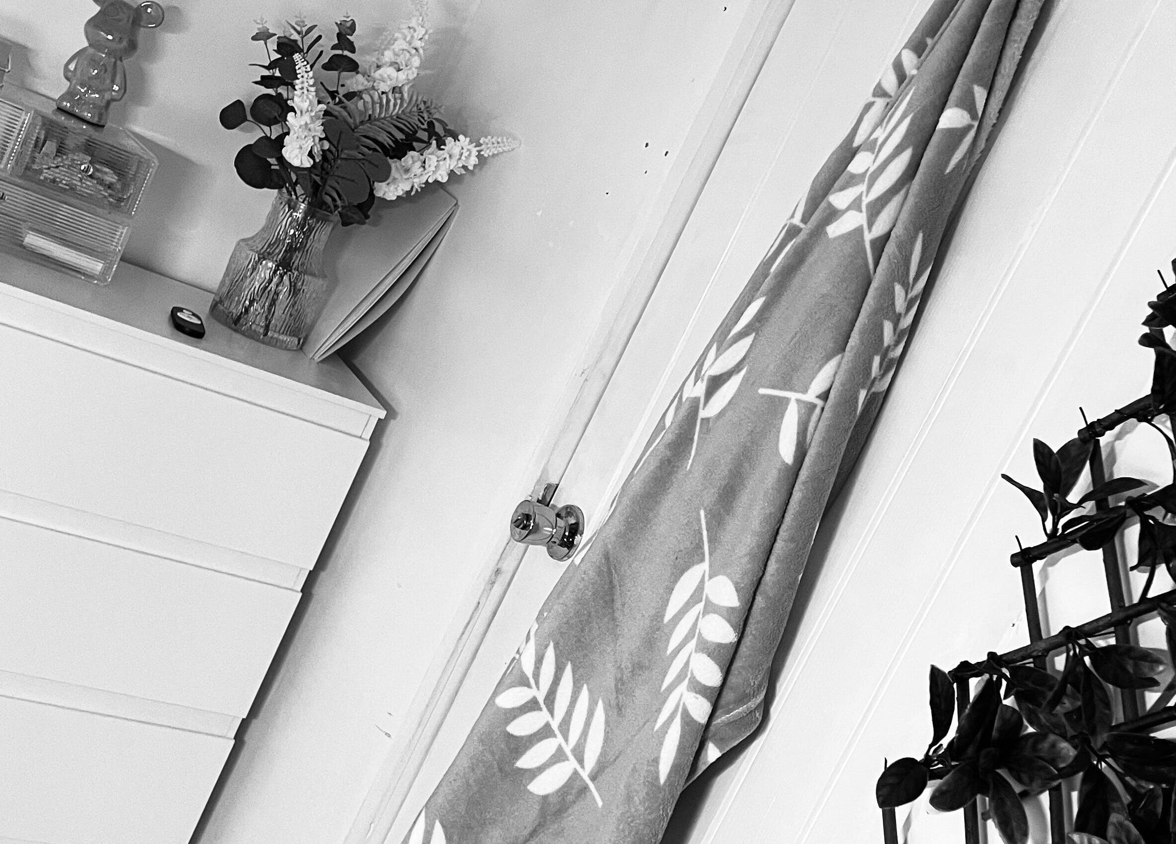 Decorative space at Beautybydarc in Sheffield, England, GB featuring plants and a floral towel.