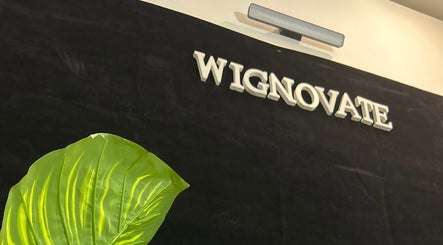 Elegant signage reading WIGNOVATE over a black backdrop with a vibrant green leaf in Ocho Rios, JM.