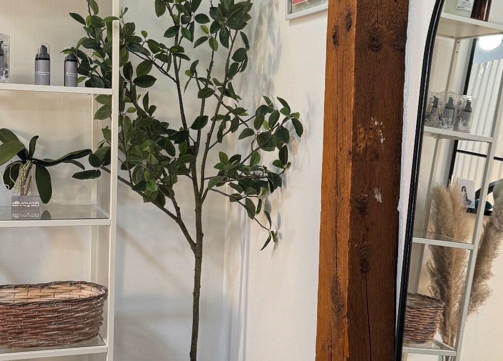 Elegant shelf with plants and products at Diveyen Lash, Ottawa, CA. Stylish and serene decor.