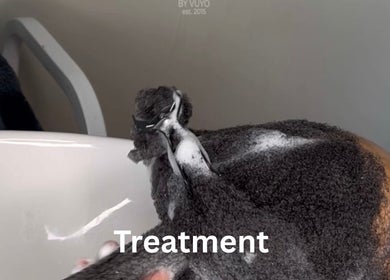 Client receiving a hair treatment at Braidsbyvuyo - Natural Hair Salon in Sandton, Gauteng, ZA. Relaxation and care.