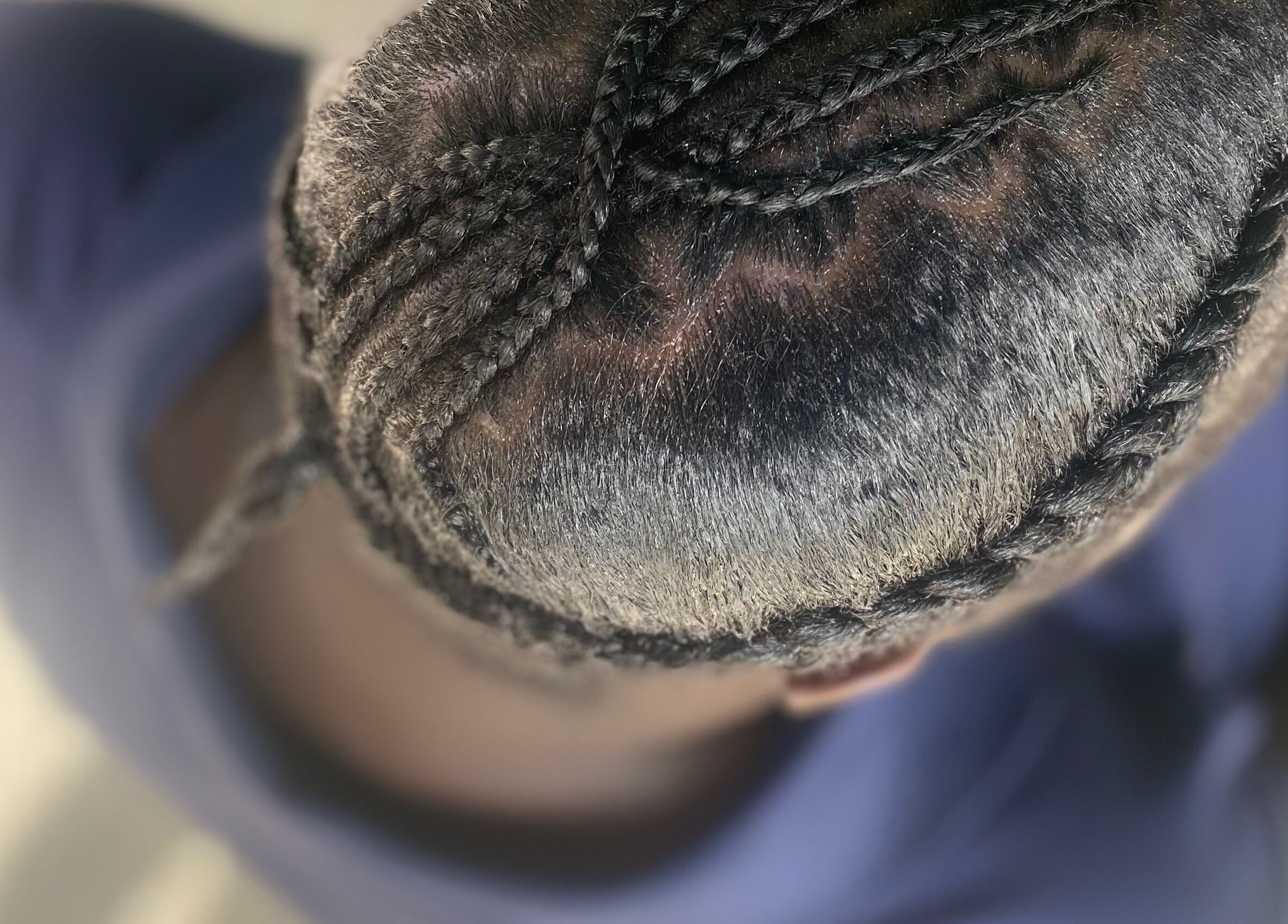 Intricate braided hairstyle showcased at Baby Winx.ent in Eastlynne, Saint George, BB.