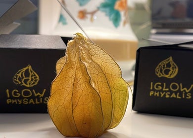 Golden physalis fruit with IGlowPhysalis branding in Bellevue, Genève, CH, perfect for wellness and beauty.
