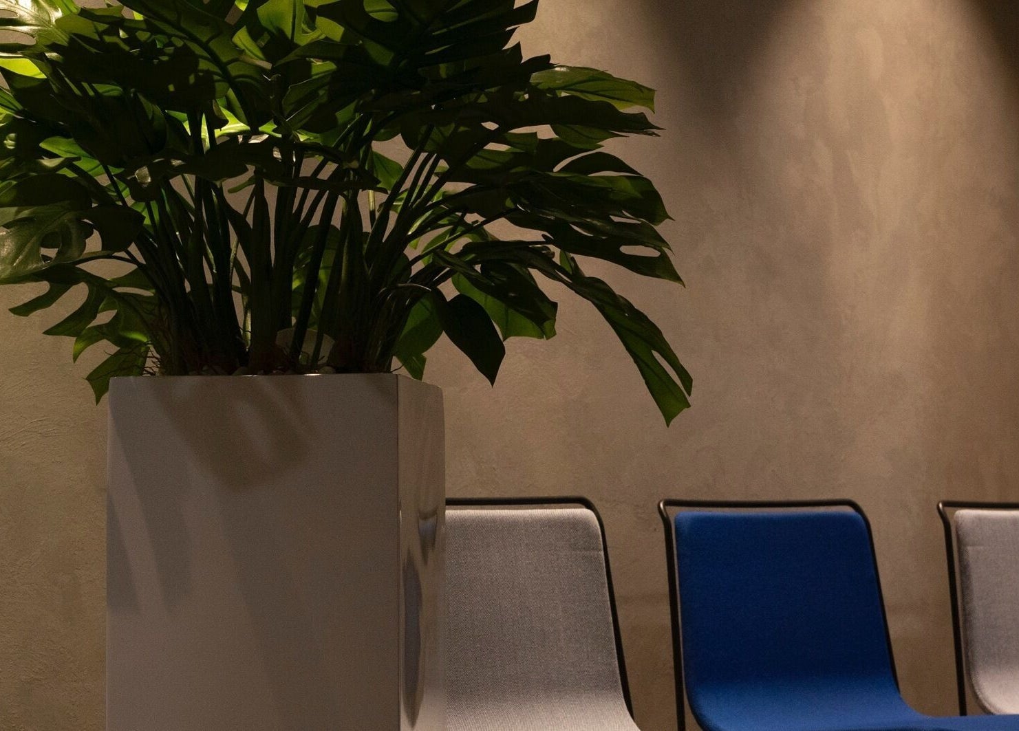 Elegant seating with lush plant at Lashhaus Tallinn, Tallinn, Harju maakond, EE.