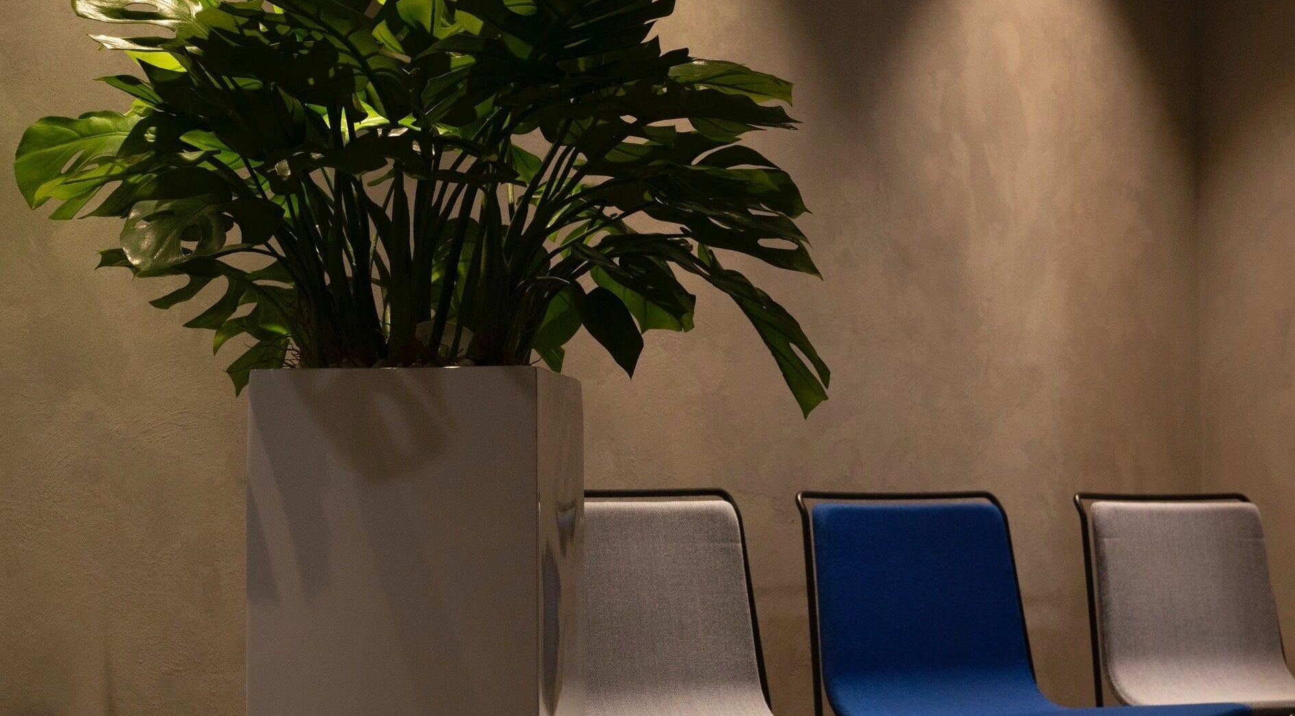 Elegant seating with lush plant at Lashhaus Tallinn, Tallinn, Harju maakond, EE.