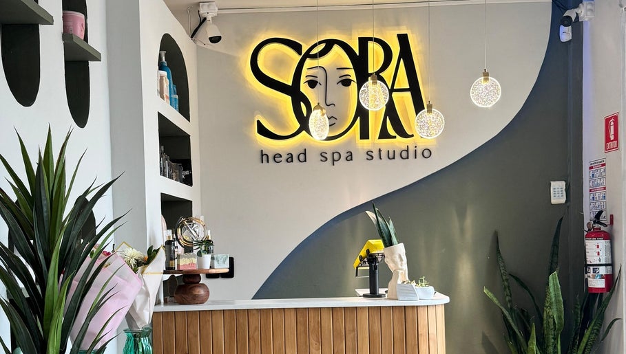 Recepción acogedora de SORA Head Spa Studio® en Playas De Rosarito, Baja California, MX con plantas y decoración elegante.
