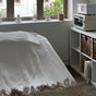 Gentle Cactus - 38 Circular Road (Gentle Ground Studios), Level 3, Raffles Place