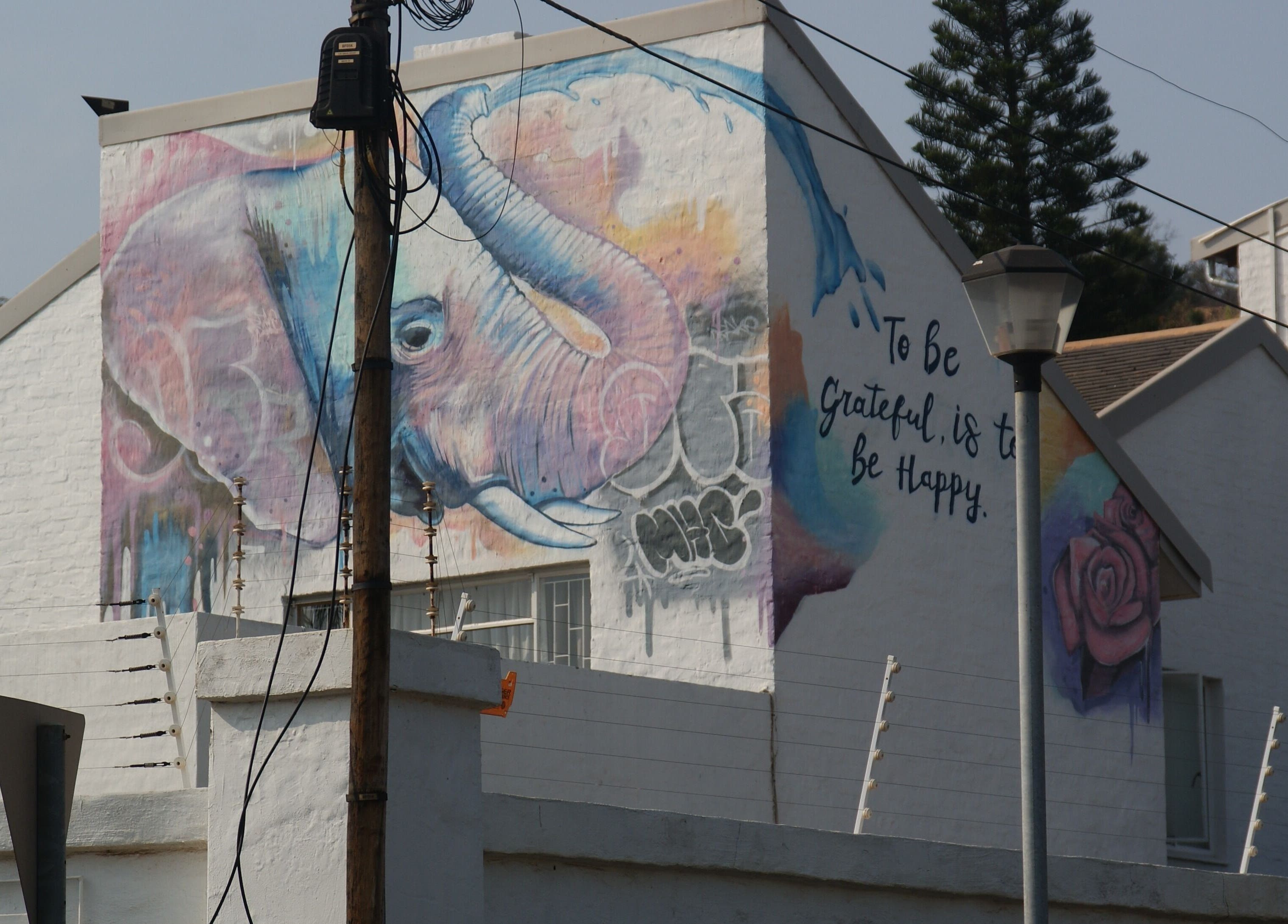 Colorful elephant mural at Angelique's Aesthetics @ The New James, Pretoria, Gauteng, ZA.