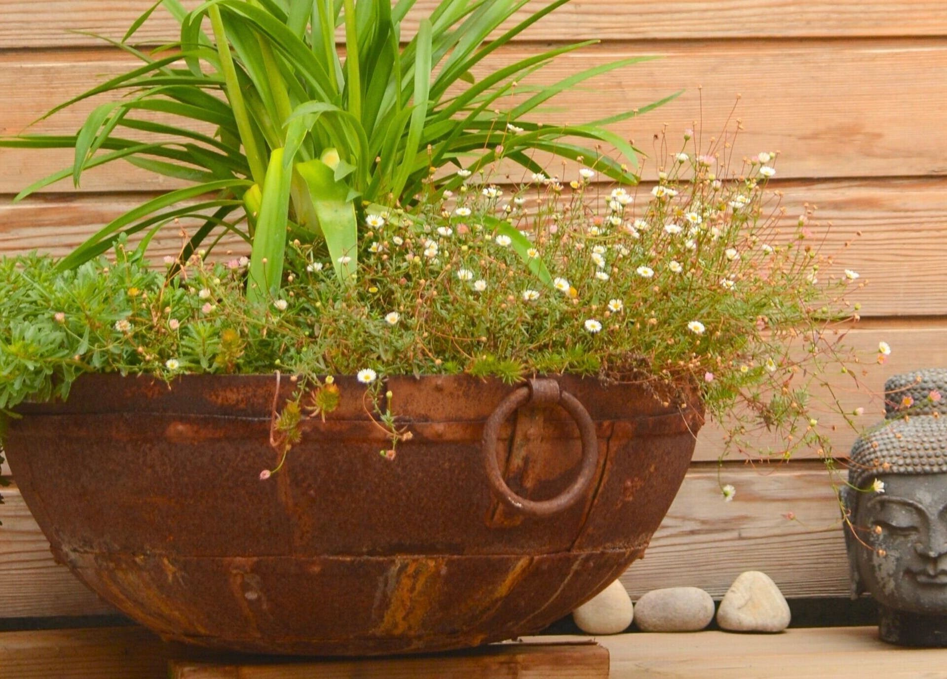 Rustic planter with lush greenery next to Buddha statue at Studio Reflex, Beckenham, England, GB.