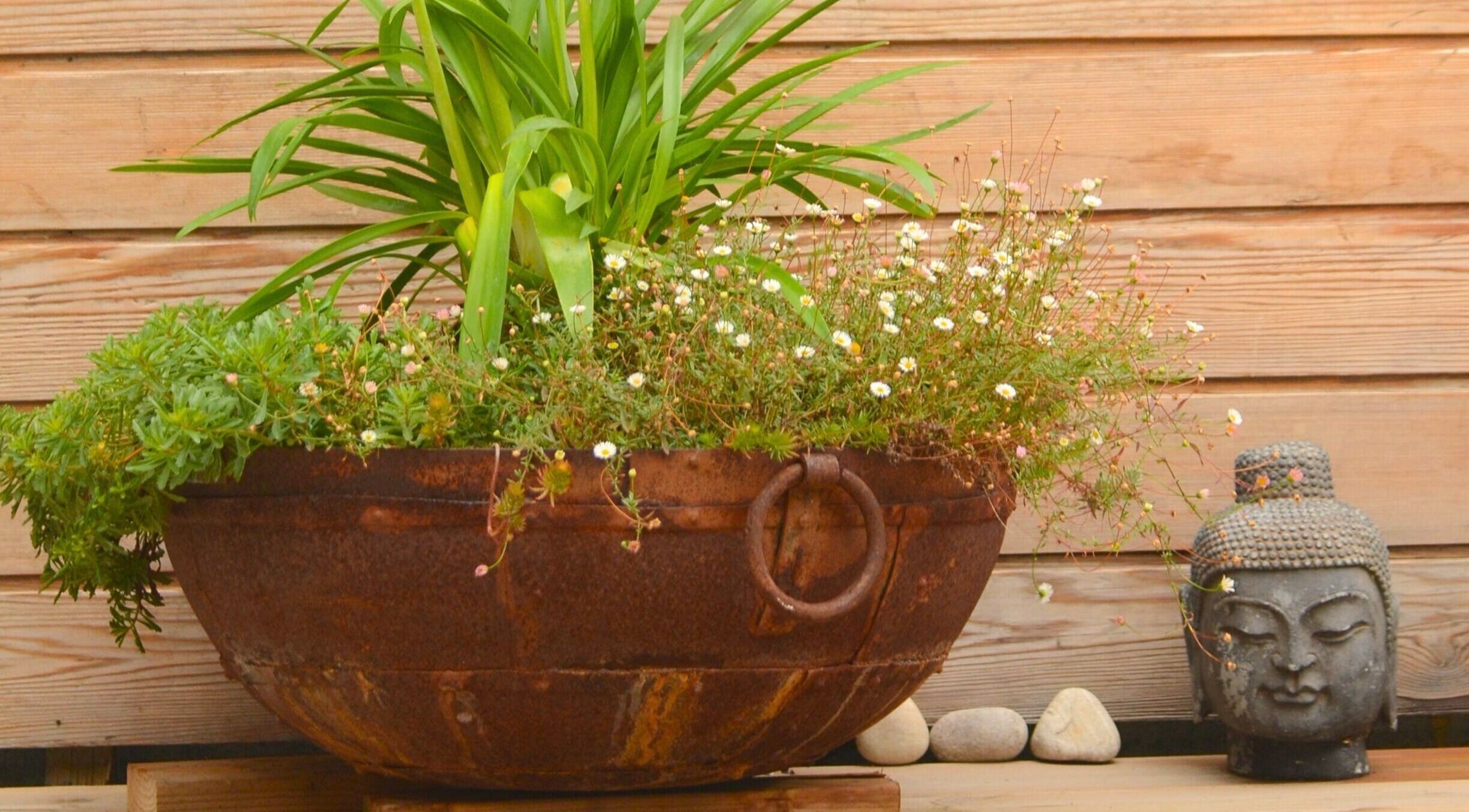 Rustic planter with lush greenery next to Buddha statue at Studio Reflex, Beckenham, England, GB.