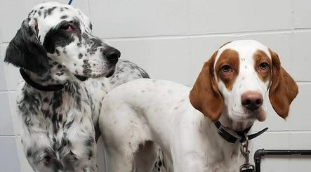 PrairieDOG Grooming Studios and Training Centre image 3