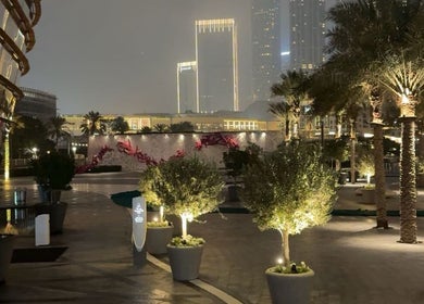 Evening view at J-blendz with lit palm trees, Casablanca, Casablanca-settat, MA.