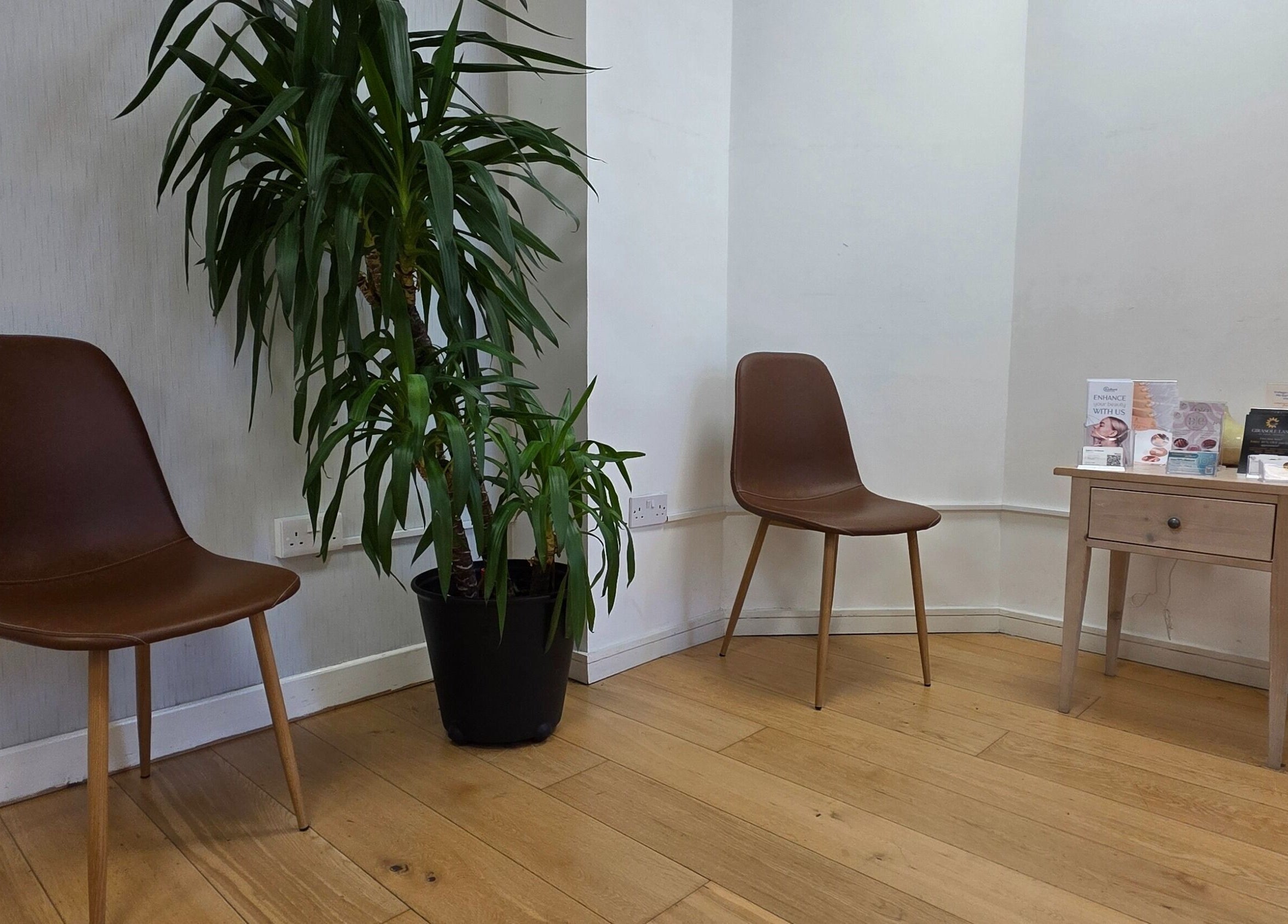 Cozy seating area at Guto Ribeiro, Dublin, County Dublin, IE featuring brown chairs and a lush plant.
