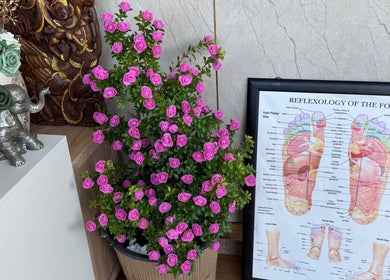 Decorative elements at Kenton Thai Massage Therapy Ltd., London, England, GB featuring foot reflexology chart and flowers.