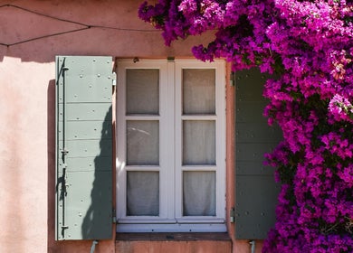 Fenêtre entourée de fleurs vibrantes à Entre Hyères et Deux Mains, Hyères, Provence-alpes-côte D'azur, FR.