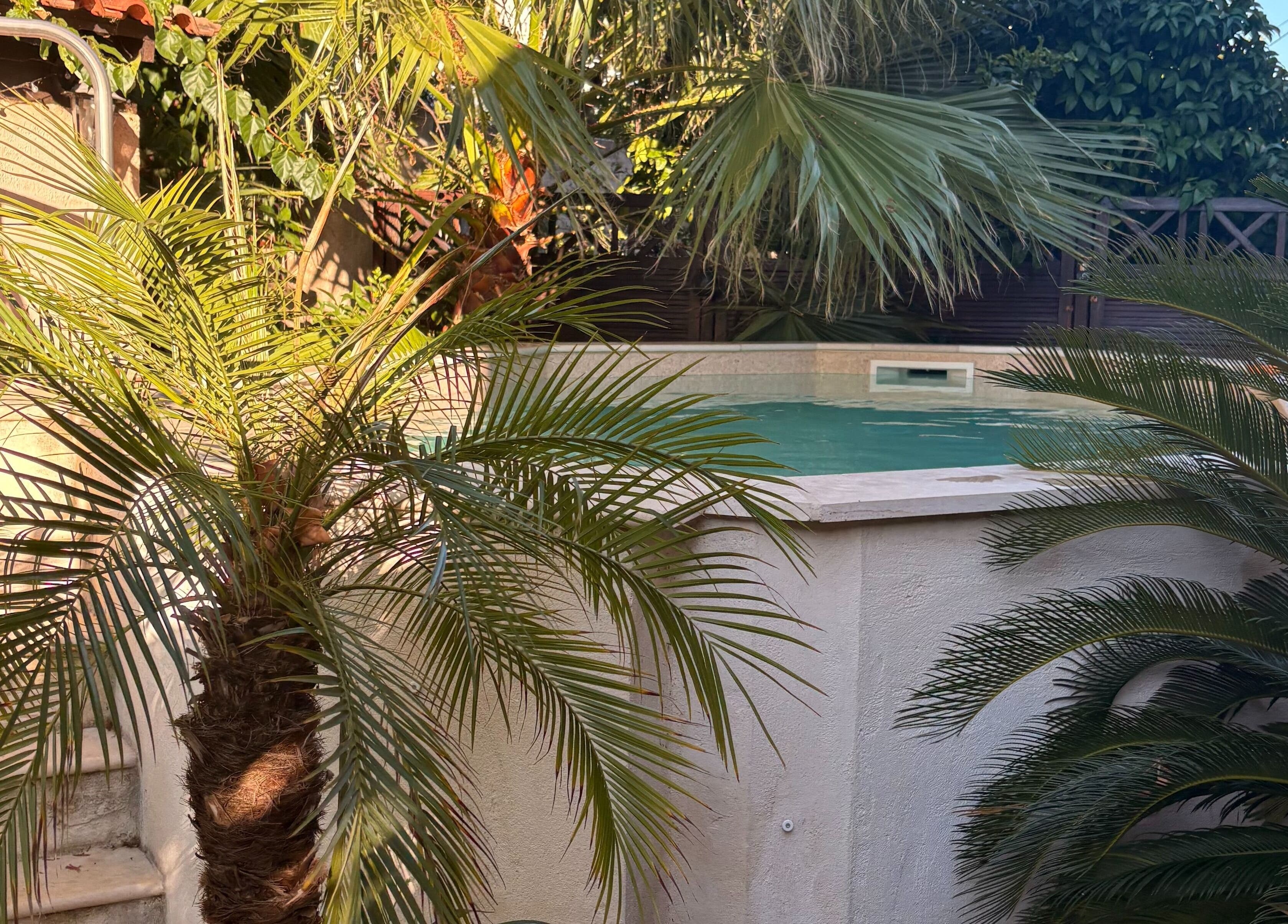 Piscine entourée de palmiers à Entre Hyères et Deux Mains, Hyères, Provence-alpes-côte D'azur, FR.