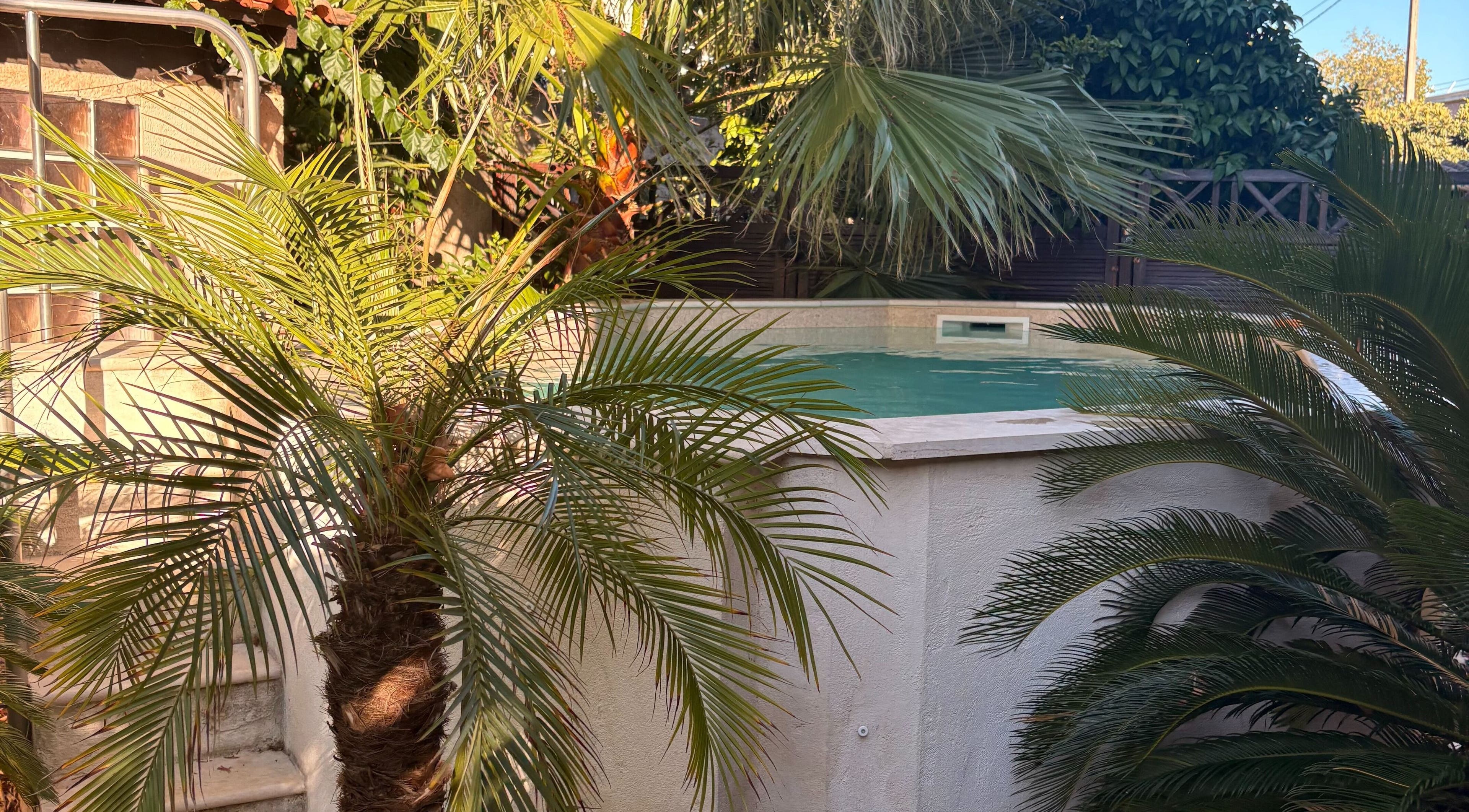 Piscine entourée de palmiers à Entre Hyères et Deux Mains, Hyères, Provence-alpes-côte D'azur, FR.