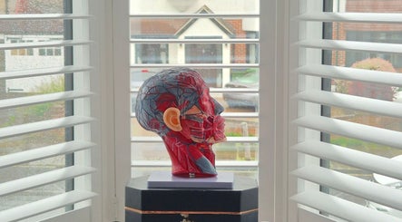 Detailed anatomical head model on display at Turn Back Time Aesthetics, London, England, GB.