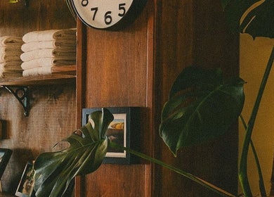 Cozy corner with shelves and plant decor at Kin Studio, Margate, England, GB highlighting wellness charm.