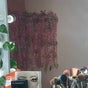 Diana Sánchez Studio / Barbería de Joe - Calle Maestro Antonio Caso 201, Local b, Colonia San Rafael, Ciudad De México