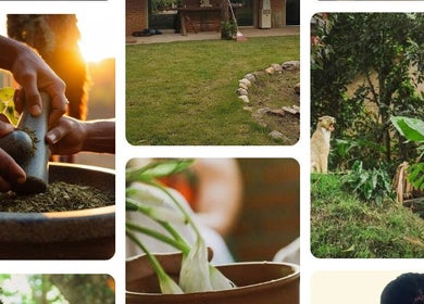 Espaço Star em São Bernardo do Campo, SP: jardim sereno com fontes naturais e plantas exuberantes ao amanhecer.