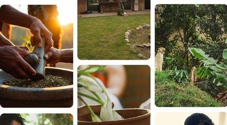 Espaço Star em São Bernardo do Campo, SP: jardim sereno com fontes naturais e plantas exuberantes ao amanhecer.