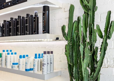 Stylish shelves of hair products and cactus at Bespoke Hair, Fortitude Valley, Queensland, AU.